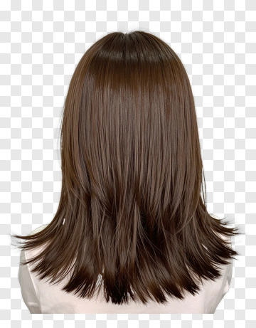 Brown Hair With Long Layers PNG
