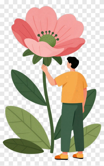 Person Interacting With A Large Flower PNG