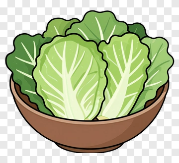 Bowl Of Fresh Lettuce PNG