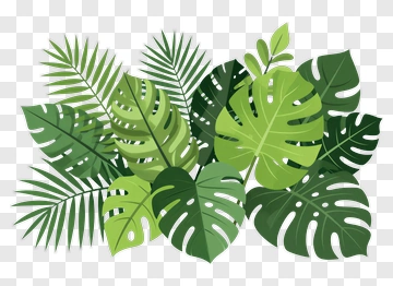 Green Tropical Leaves Arrangement PNG