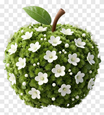Green Apple Covered In White Flowers PNG