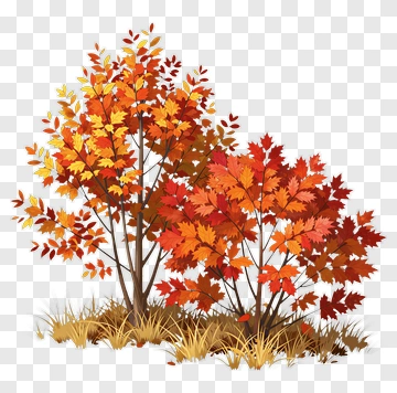 Colorful Autumn Trees PNG