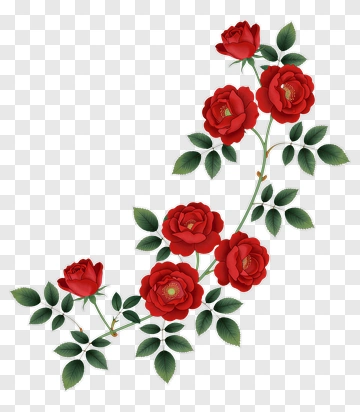 Red Roses With Green Leaves PNG