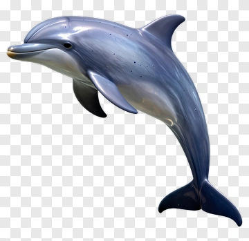 3D Dolphin Swimming PNG