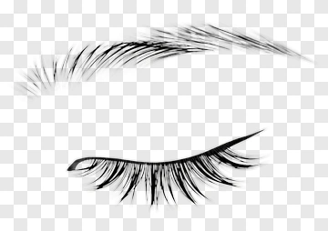 Stylized Eyelash Design PNG
