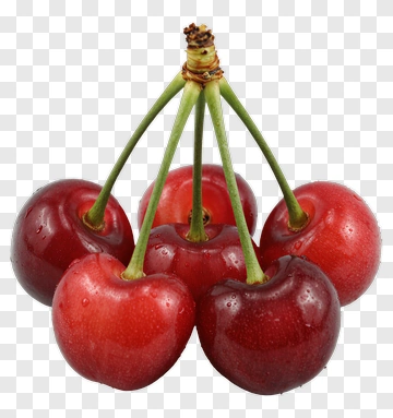 Fresh Cherries Cluster PNG