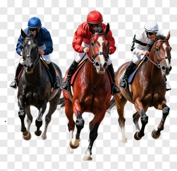 Horse Racing Jockeys Competing On Racehorses PNG
