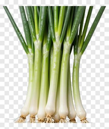 Fresh Green Onions PNG