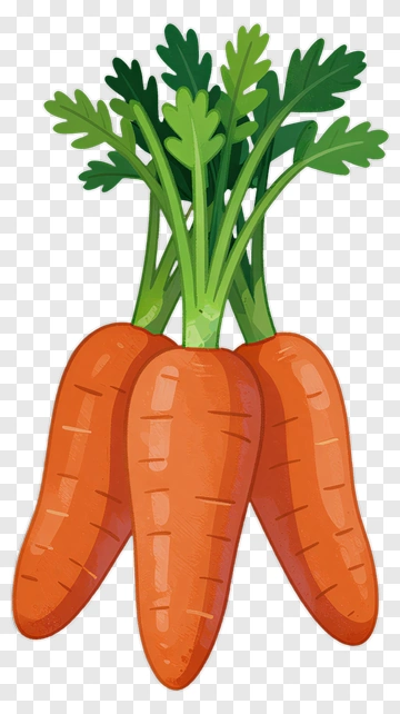 Colorful Carrots With Green Leaves PNG
