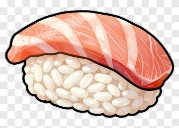 Salmon Sushi Nigiri PNG