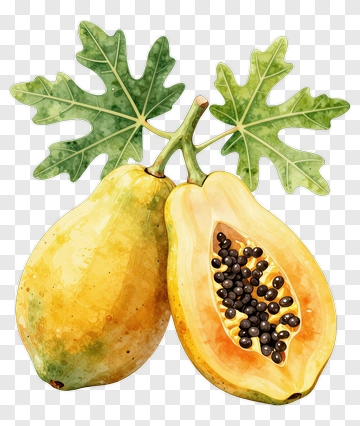 Papaya With Green Leaves PNG