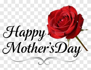 Happy Mother's Day Rose PNG