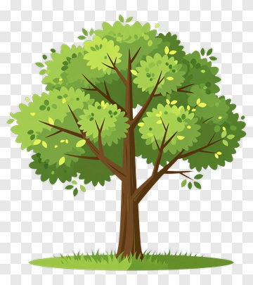 Colorful Tree PNG