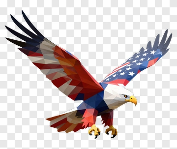 Eagle With American Flag Colors PNG