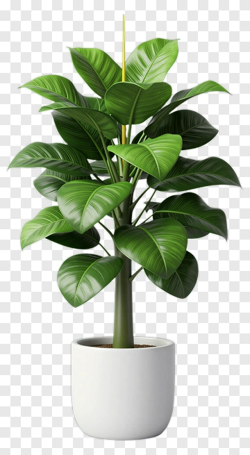 Realistic Potted Plant With Green Leaves PNG