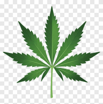 Green Cannabis Leaf PNG