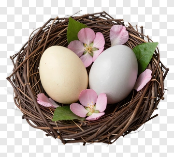 Eggs In A Nest With Pink Flowers PNG