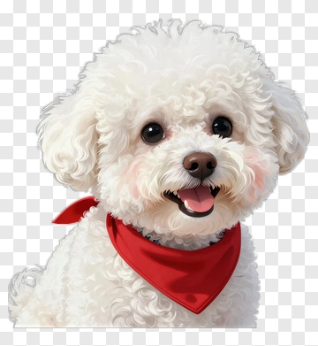Happy Bichon Frise Dog With Red Bandana PNG