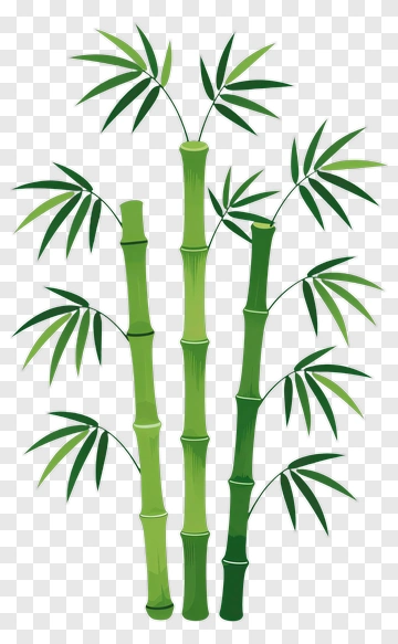 Bamboo Plant With Green Stems And Leaves PNG