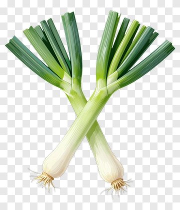 Fresh Green Onions PNG