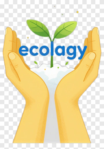 Hands Holding A Plant With Ecology Text PNG