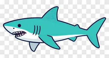 Cartoon Shark PNG