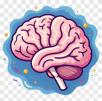 Cartoon Brain Illustration PNG
