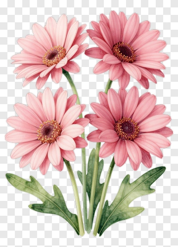 Pink Flower Bouquet PNG