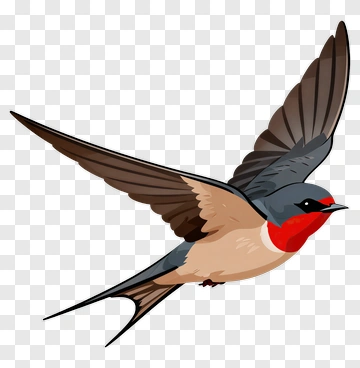 Flying Bird With Red Throat PNG