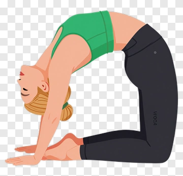 Woman Performing Camel Pose In Yoga PNG
