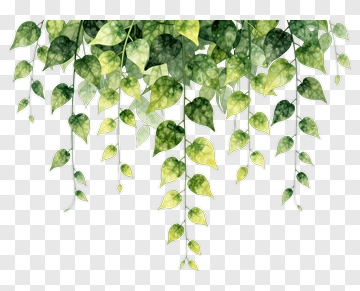 Watercolor Green Leaves PNG