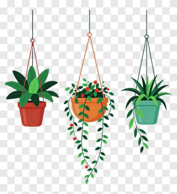 Hanging Plants In Colorful Pots PNG
