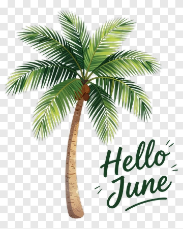 Palm Tree With Hello June Text PNG