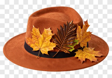 Hat Decorated With Autumn Leaves PNG