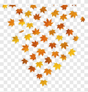 Fallen Autumn Leaves PNG