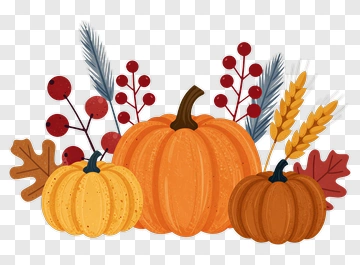 Colorful Pumpkin Arrangement With Autumn Leaves And Berries PNG
