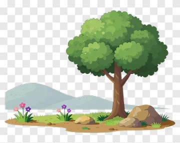 Cartoon Tree In A Natural Landscape PNG