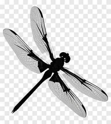 Silhouette Dragonfly PNG