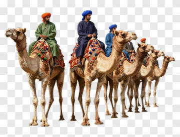 Camel Caravan With Riders PNG