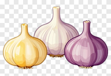 Colorful Garlic Bulbs PNG