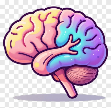 Colorful Cartoon Brain PNG