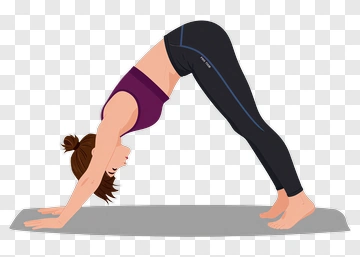 Woman Doing Yoga In Downward Dog Pose PNG