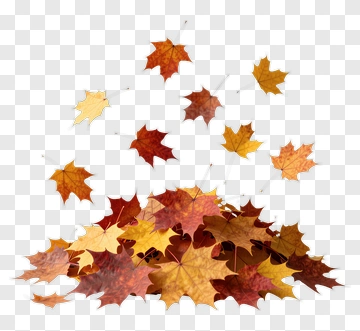 Autumn Leaves Pile PNG