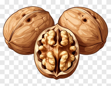 Walnuts With One Open Shell PNG