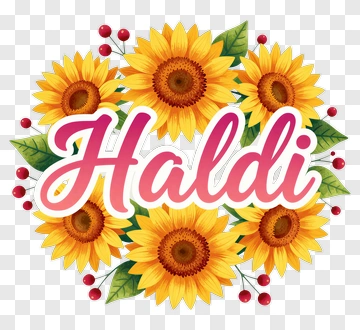 Haldi With Sunflowers And Berries PNG