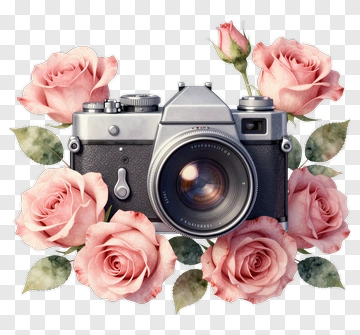 Camera Surrounded By Pink Roses PNG