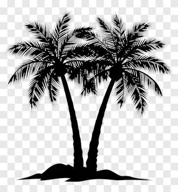 Silhouette Of Two Palm Trees PNG