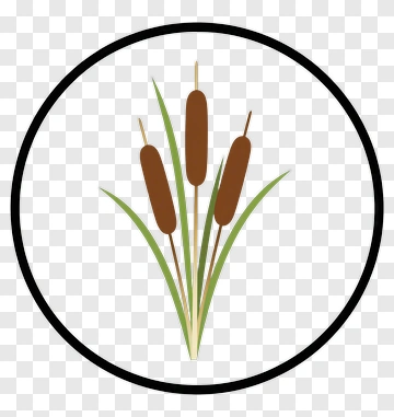 Cattails With Green Grass PNG