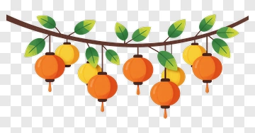 Colorful Lanterns Hanging On A Branch PNG
