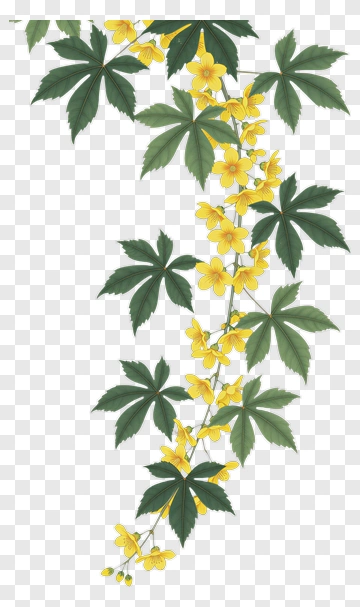 Vine With Yellow Flowers And Green Leaves PNG